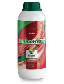 AMINO FASTER - 0